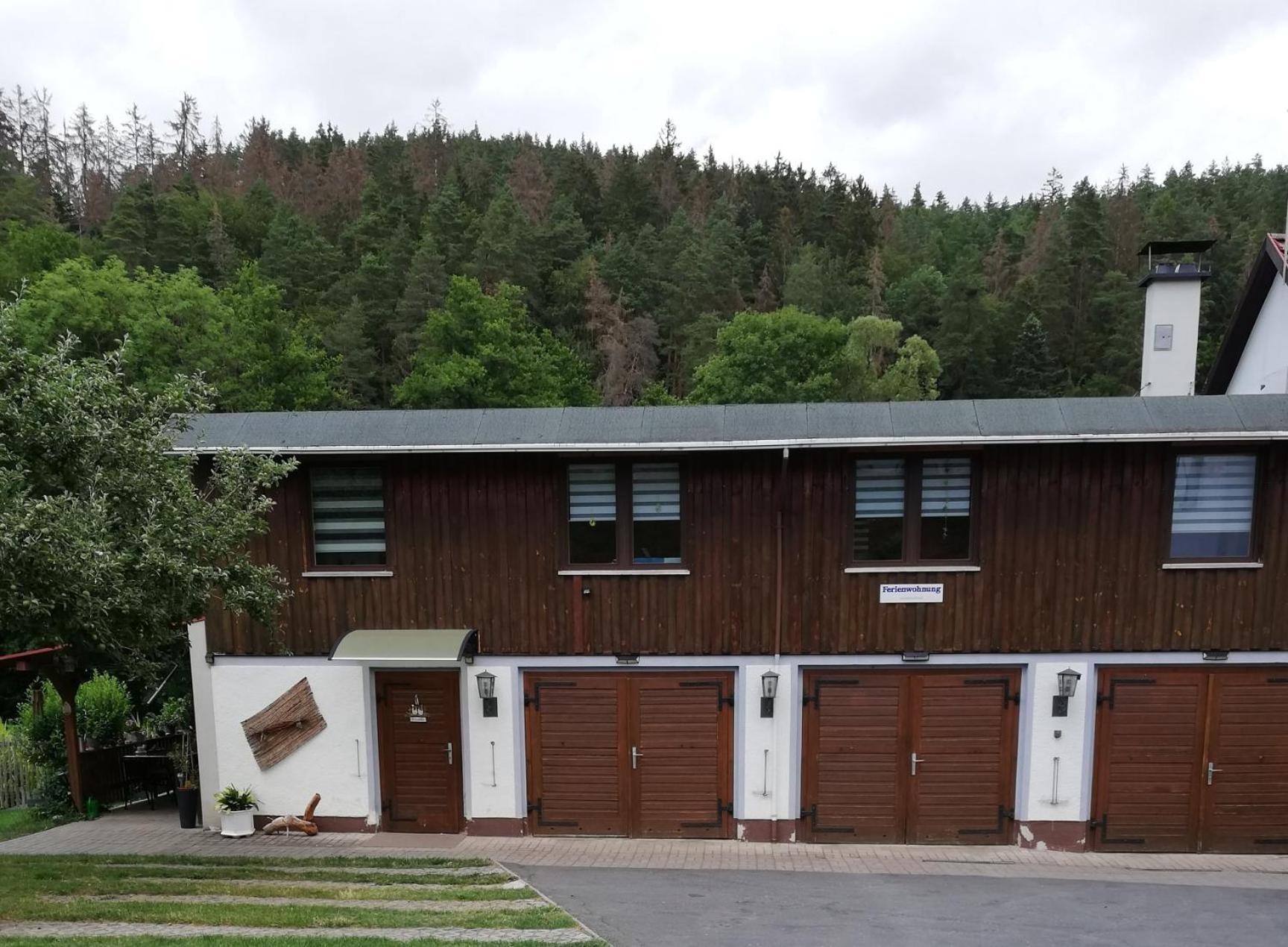 Fewo An Der Klosterruine Paulinzella Mit Kostenfreien Parkplatz Und Wlan Exterior foto