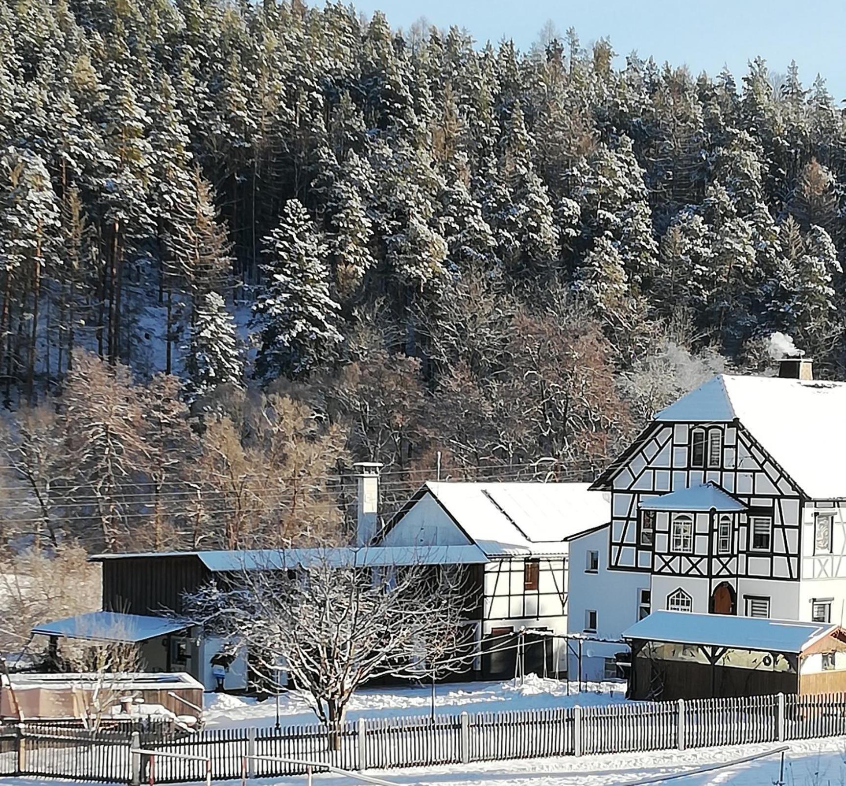 Fewo An Der Klosterruine Paulinzella Mit Kostenfreien Parkplatz Und Wlan Exterior foto
